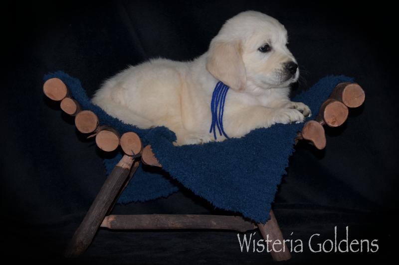 Six Week Playtime Video and Pictures #harper050120