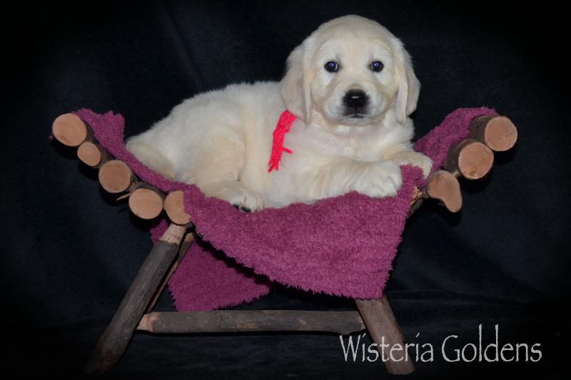 Six Week Playtime Video and Pictures #harper050120