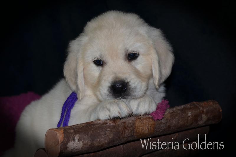 Six Week Playtime Video and Pictures #harper050120