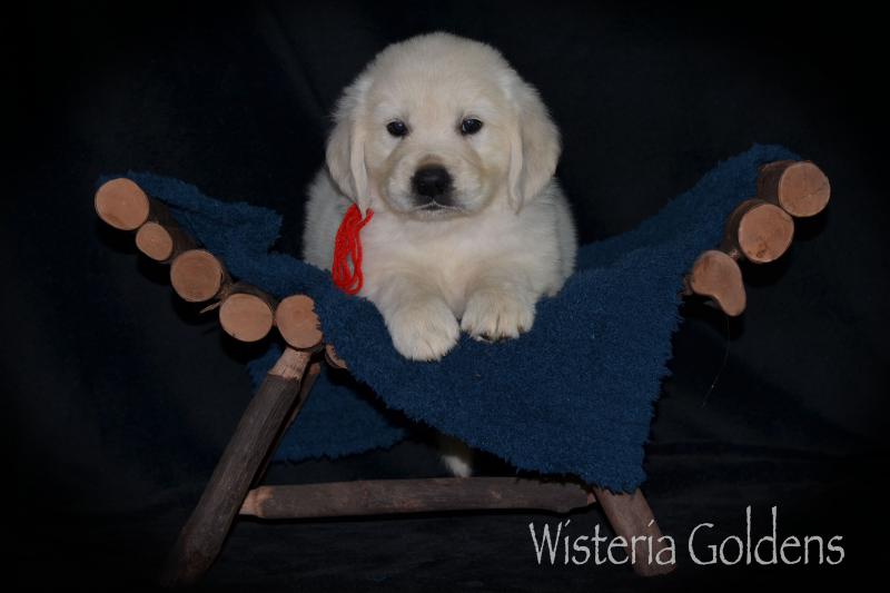 Six Week Playtime Video and Pictures #harper050120