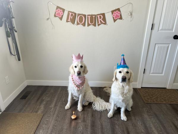 Blanche (Promise/Tahoe Danali (Promise/Tahoe)