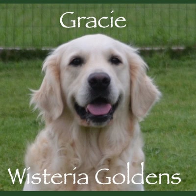 gracie our girls