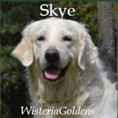 skye our girls