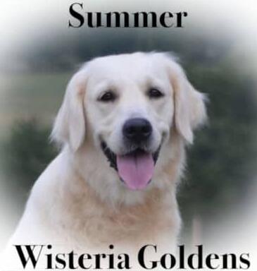 Summer our girls