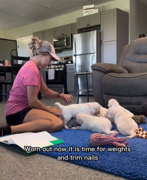 Here’s a glimpse into a day in the lives of Stormy’s adorable puppies! 