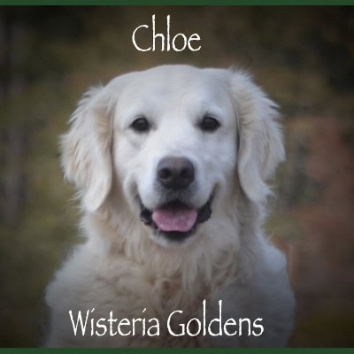 chloe our girls