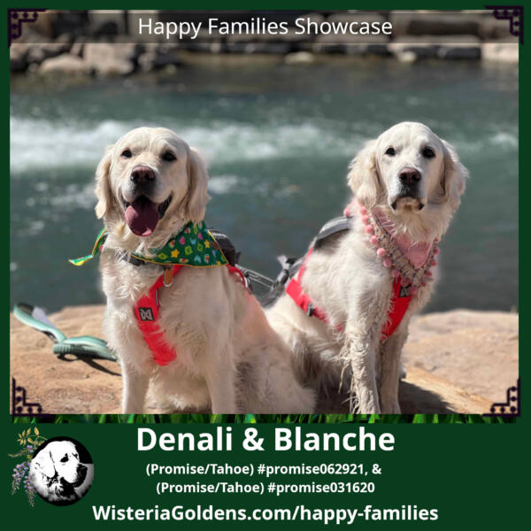 Denali and Blanche Denali (Promise/Tahoe 2021) & Blanche (Promise/Tahoe 2020)