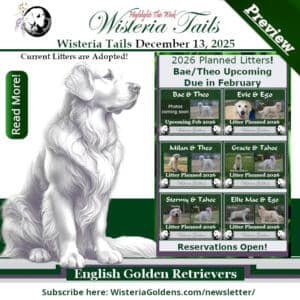 Preview of Wisteria Tails Newsletter December 13, 2025