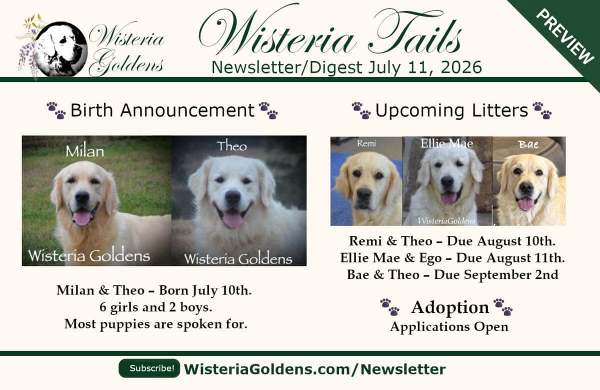 preview of wisteria tails newsletter/digest Juul 11th, 2026