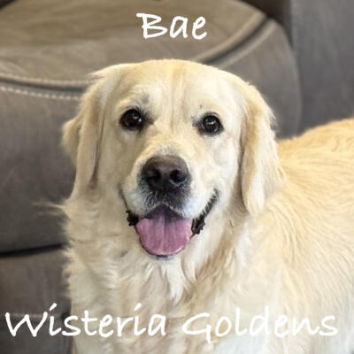 our girls Bae