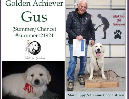 Gus (Summer/Chance)