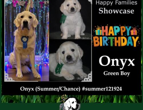Onyx (Summer/Chance)