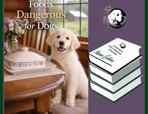 Foods That Are Toxic or Dangerous for Dogs