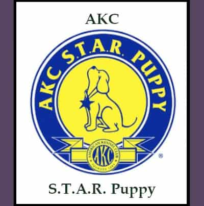 AKC S.T.A.R. Puppy Official AKC Emblem