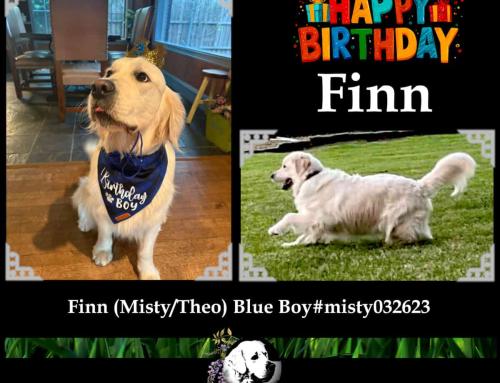 Finn (Misty/Theo)