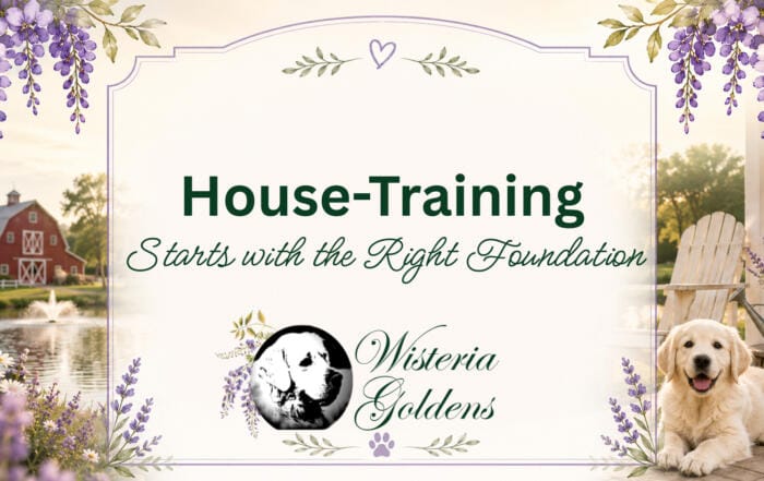 House Training Starts with the Right FoundationIn our article, Protection vs. Isolation: Finding the Right Balance for Your Puppy, we discussed the importance of balancing disease prevention with socialization and development.