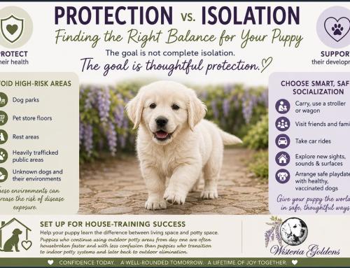 Protection vs Isolation