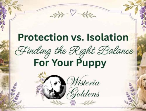Protection vs Isolation